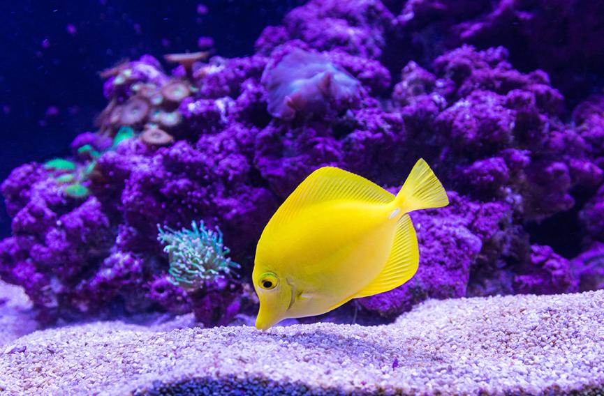 马代选岛不踩坑,马代国庆选岛攻略