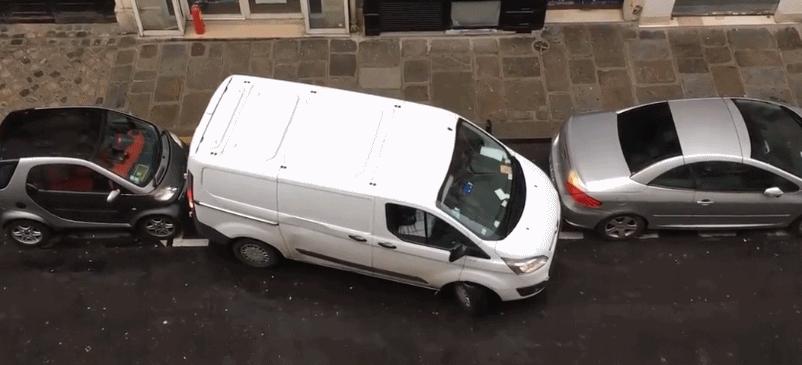 出门遇到这“街头流氓”,我劝你快逃