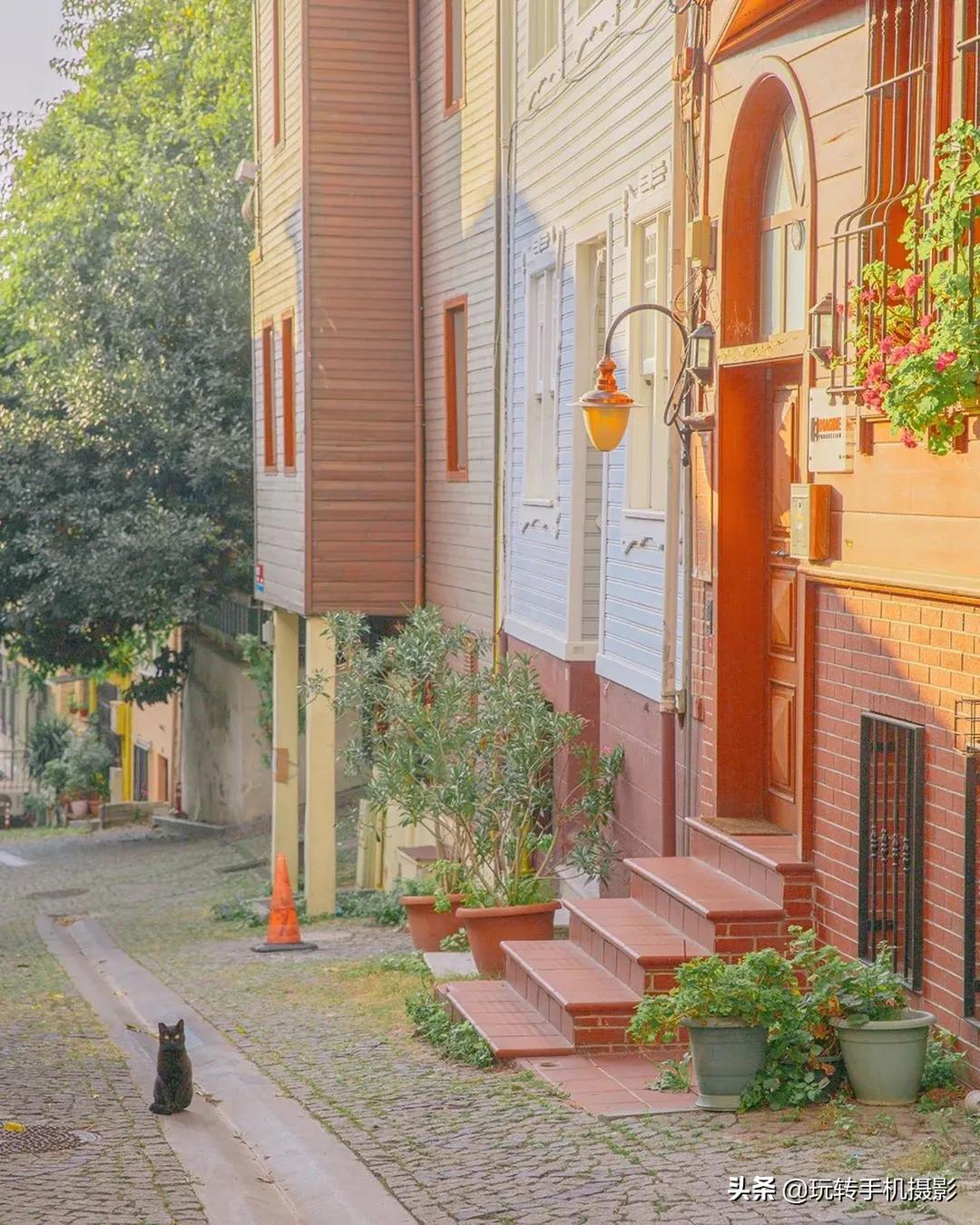 曲线调色的方法和技巧,如何进行曲线调色