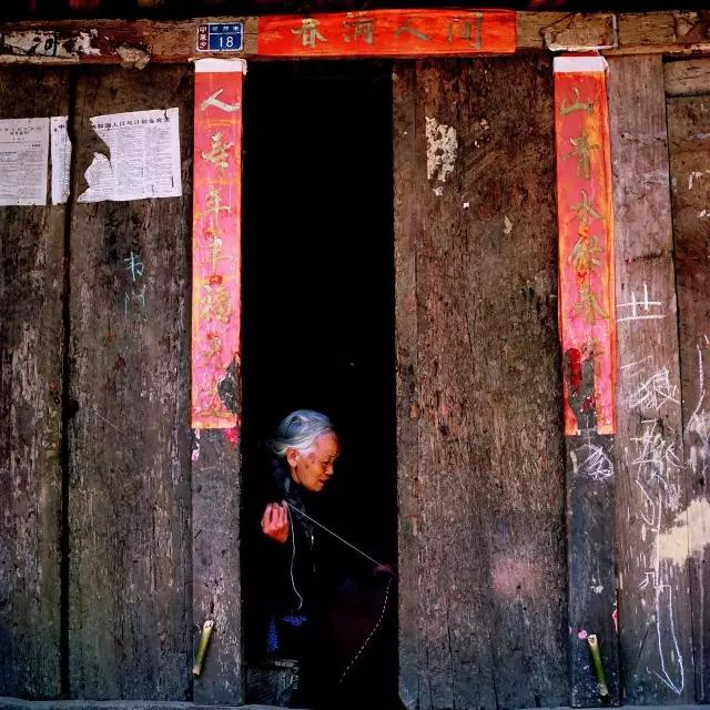 巴马长寿之秘火麻,世界长寿之乡巴马火麻