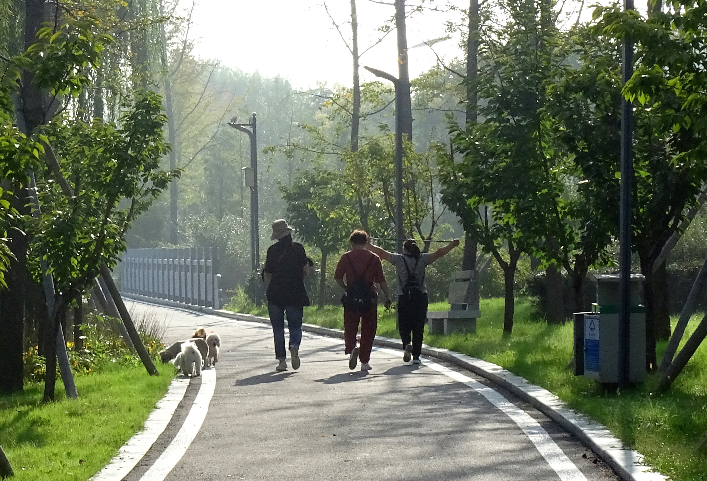 索尼dsc-hx400拍飞机效果,索尼dsc-hx400照片调色