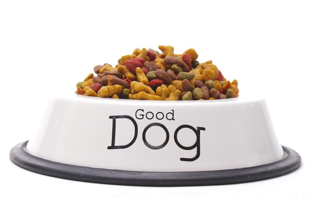 法国斗牛犬有体臭掉毛吗,斗牛犬掉毛体臭严重怎么办