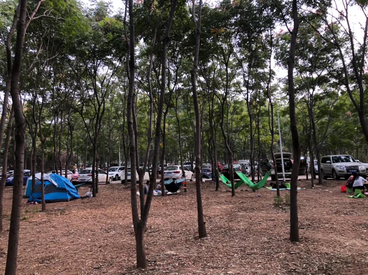 郑州免费公园树木园,郑州树木园开放