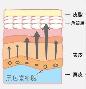 这些不靠谱的护肤方式你可别乱试,这些烂脸护肤误区你可千万不要犯