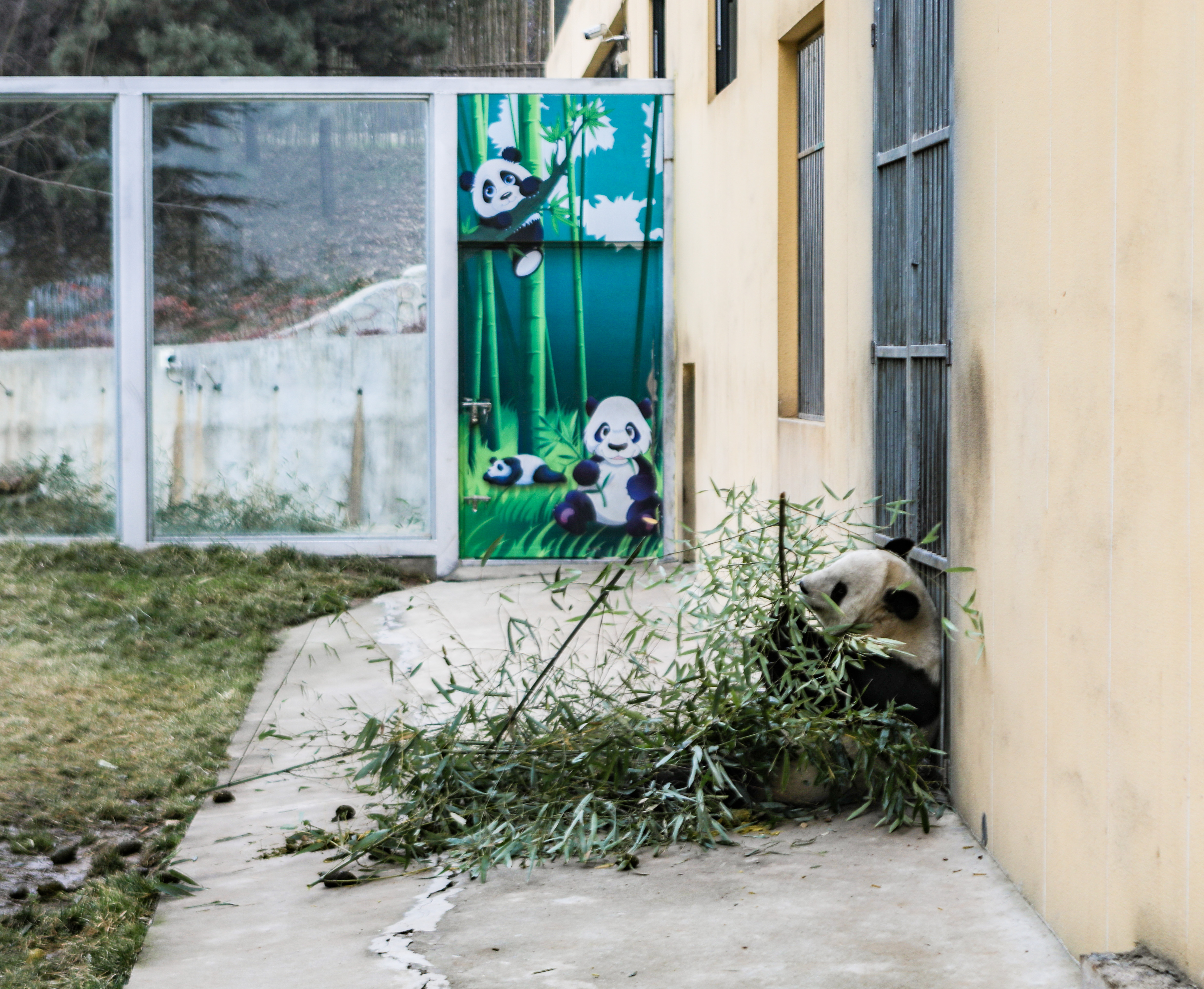 这是西北首个野生动物园，实测喂老虎是一种怎样感受！刺激