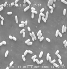 「德斯特GMP」制药用水问答集锦（上）