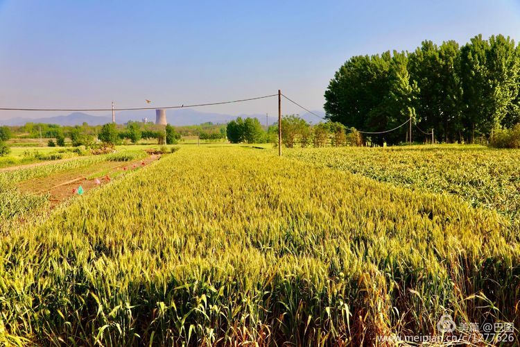 偃师巩义有哪些旅游景点,洛阳偃师旅游景点大全介绍