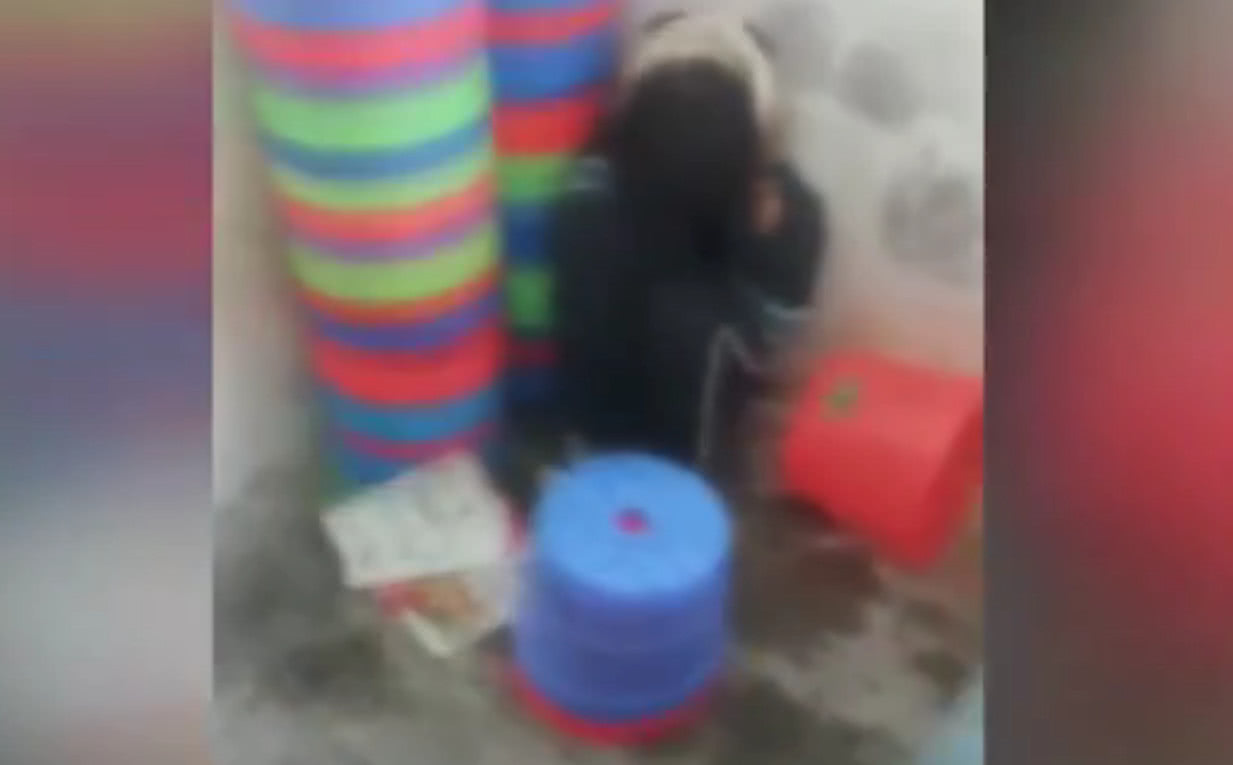 假如你小孩被人打了你该不该拦,孩子被打怎么教育对方