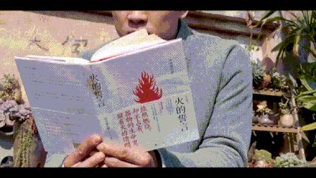 vivo重庆怎样,vivo与重庆