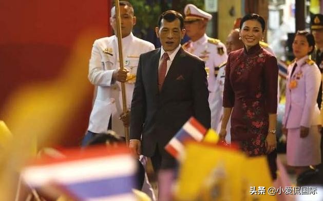 未雨绸缪，42岁素缇达王后知诗尼娜难斗，修整“朝天鼻”再争宠