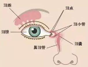 眼睛遇冷流泪怎么治疗,眼睛流泪模糊怎么回事