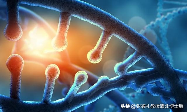 西班牙最新研究新冠源头,西班牙科学家解读新冠