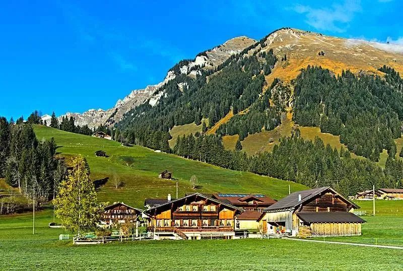 美国女明星安妮海瑟薇感情,安妮海瑟薇带孩子逛街状态