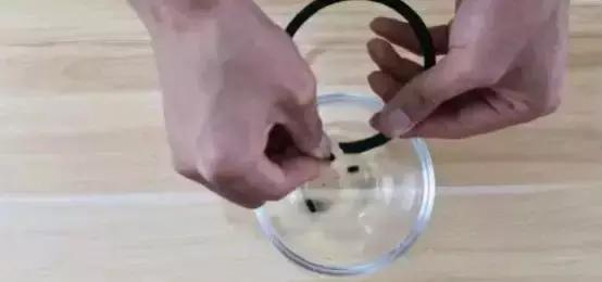 断掉的蚊香别扔掉，教你一招变废为宝