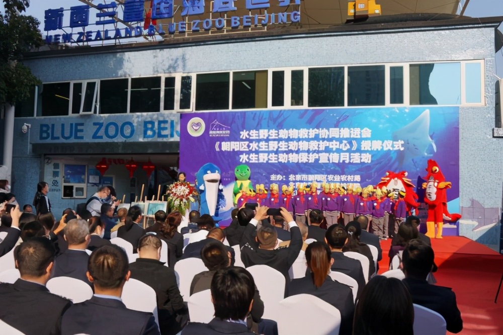 守护海洋生命，富国海底世界在行动