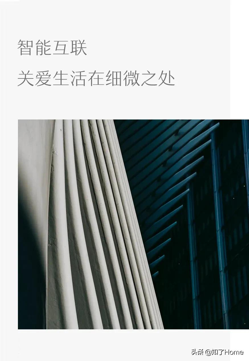 Z时代的斜杠青年全情付出理想作“办”