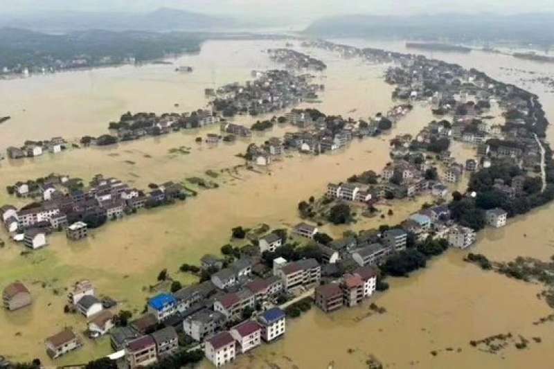 20年的巨蟒蛇,巨蟒蛇一共能活多少年