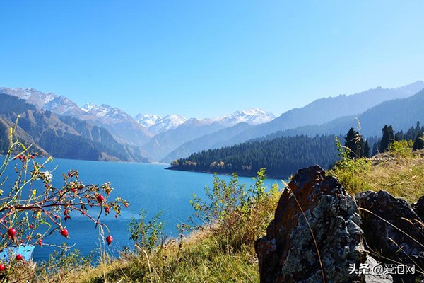 去*疆新**要注意的几件事，现在为你详细解答