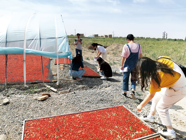 激扬青春 陇原大地展风采