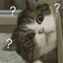 这些消费诈骗的陷阱你避开了吗,如何揭穿国家项目传销骗局