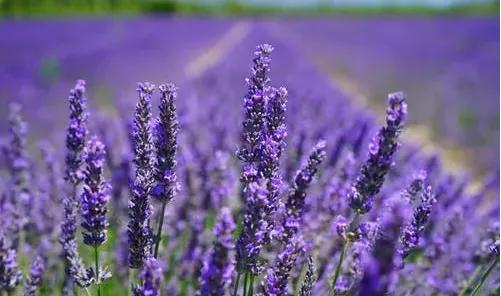 开车犯困怎么办最快最有效,开车困的时候掐哪里