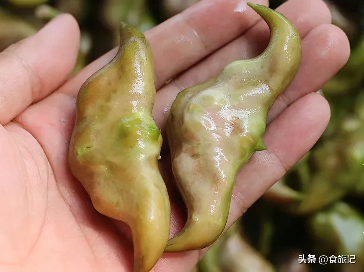 粉糯香甜的洪湖老菱角上市啦,洪湖新鲜鲜嫩菱角4斤