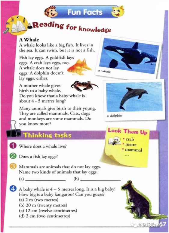 电子课本人教版五年级上册英语,人教版英语五年级上册电子版课本