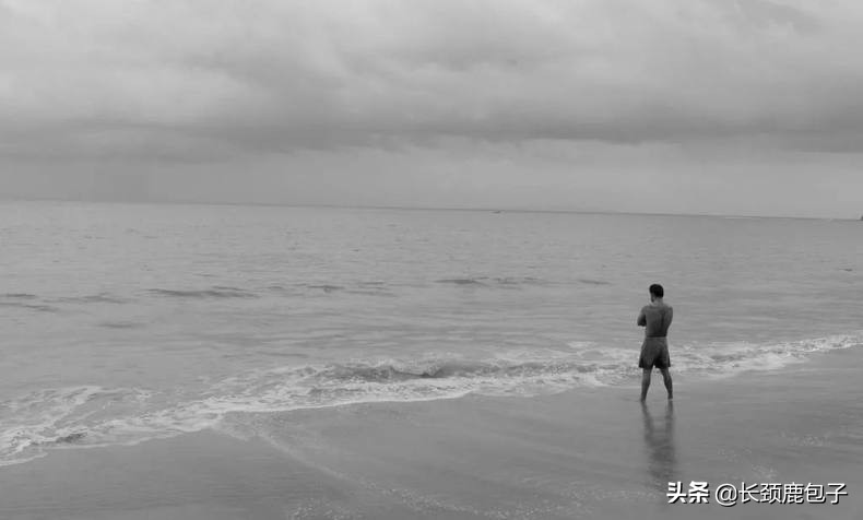 2020十大电影必看动作片,2020十部巅峰片