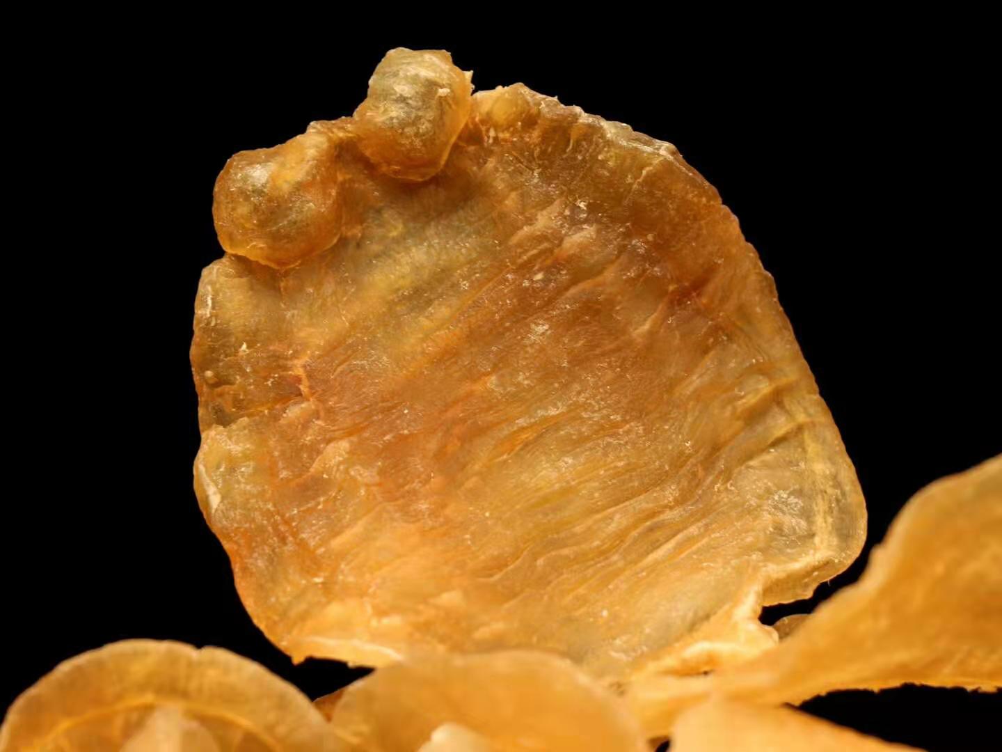 鱼胶花胶科普,关于鱼胶花胶的问题