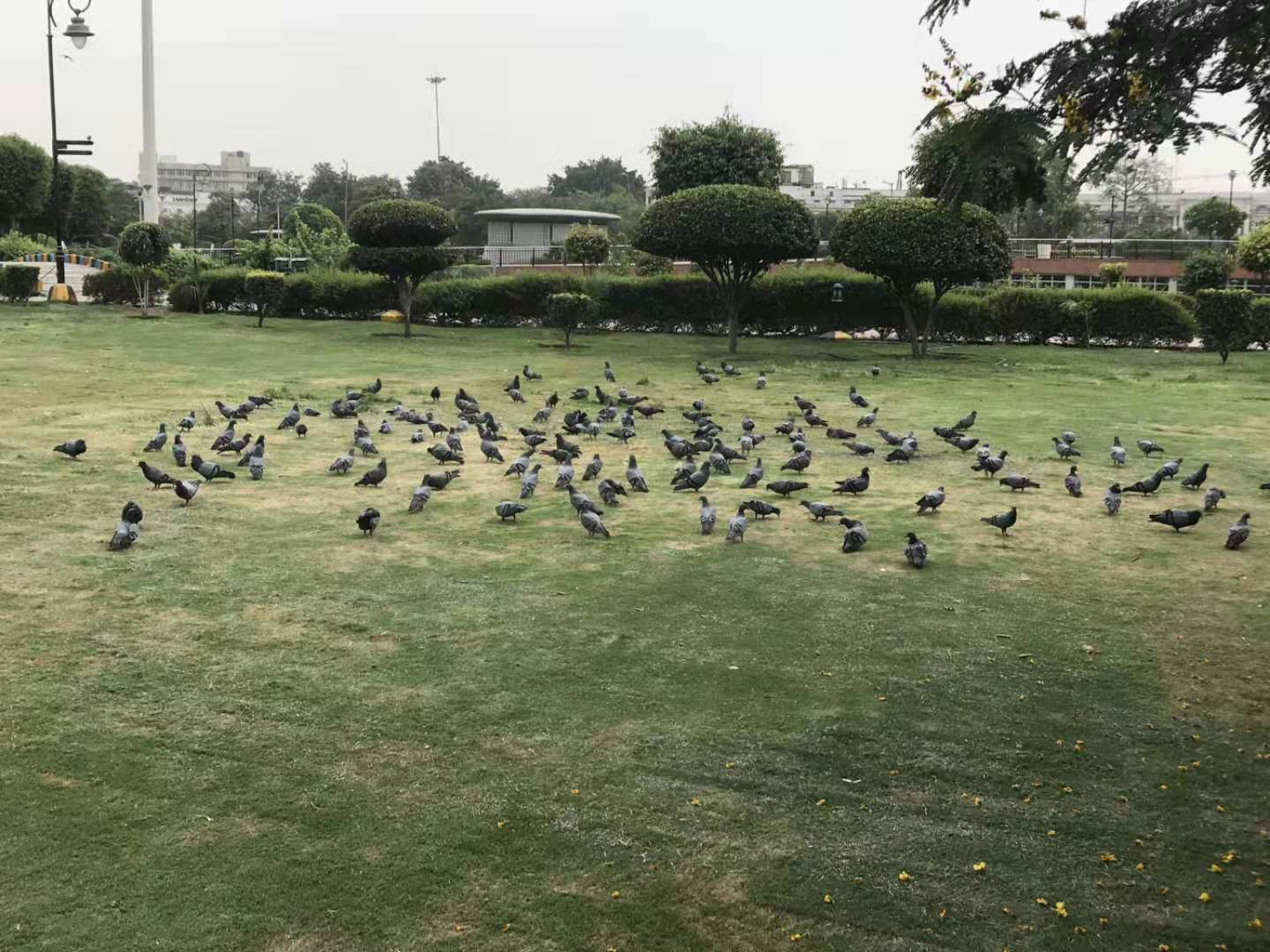 印度见闻大全,中国印度见闻录