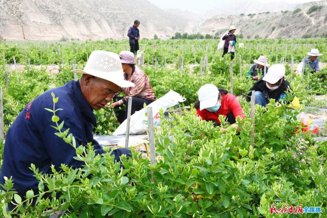 2021年临夏州国民经济发展公报,实现经济逆势上扬开门红