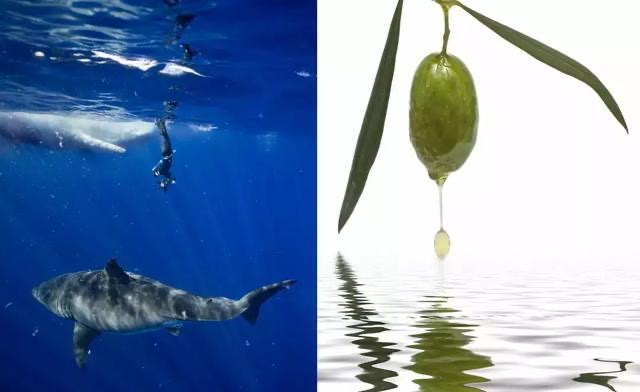 杨紫近照曝光无修图法令纹很深,杨紫面部填充法令纹