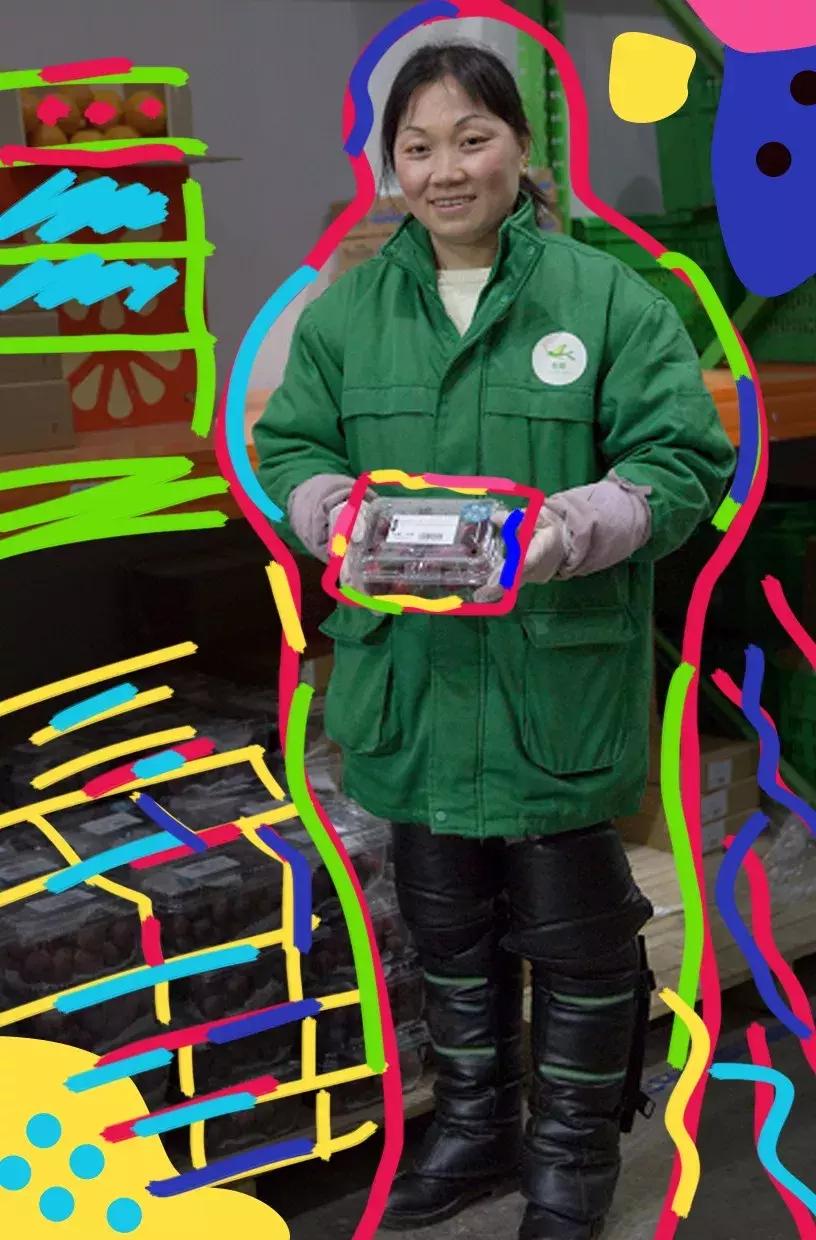 在大自然当中寻找有机蔬菜,为大家采摘绝对新鲜的有机蔬菜