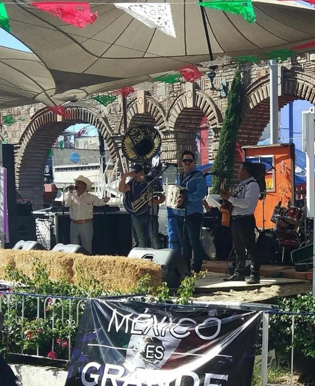 阿莲近期聊天记录,阿莲的聊天记录