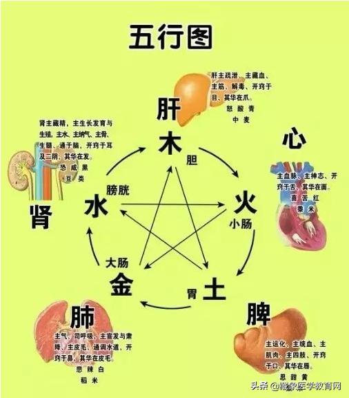 中医基础理论完整版,中医基础理论精华版李烁