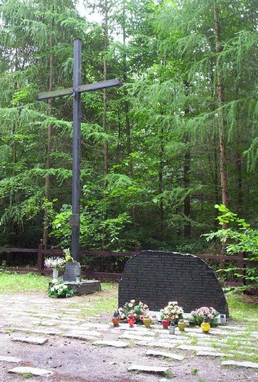 波兰航空公司5505号班机空难事件,波兰航空伊尔62客机空难