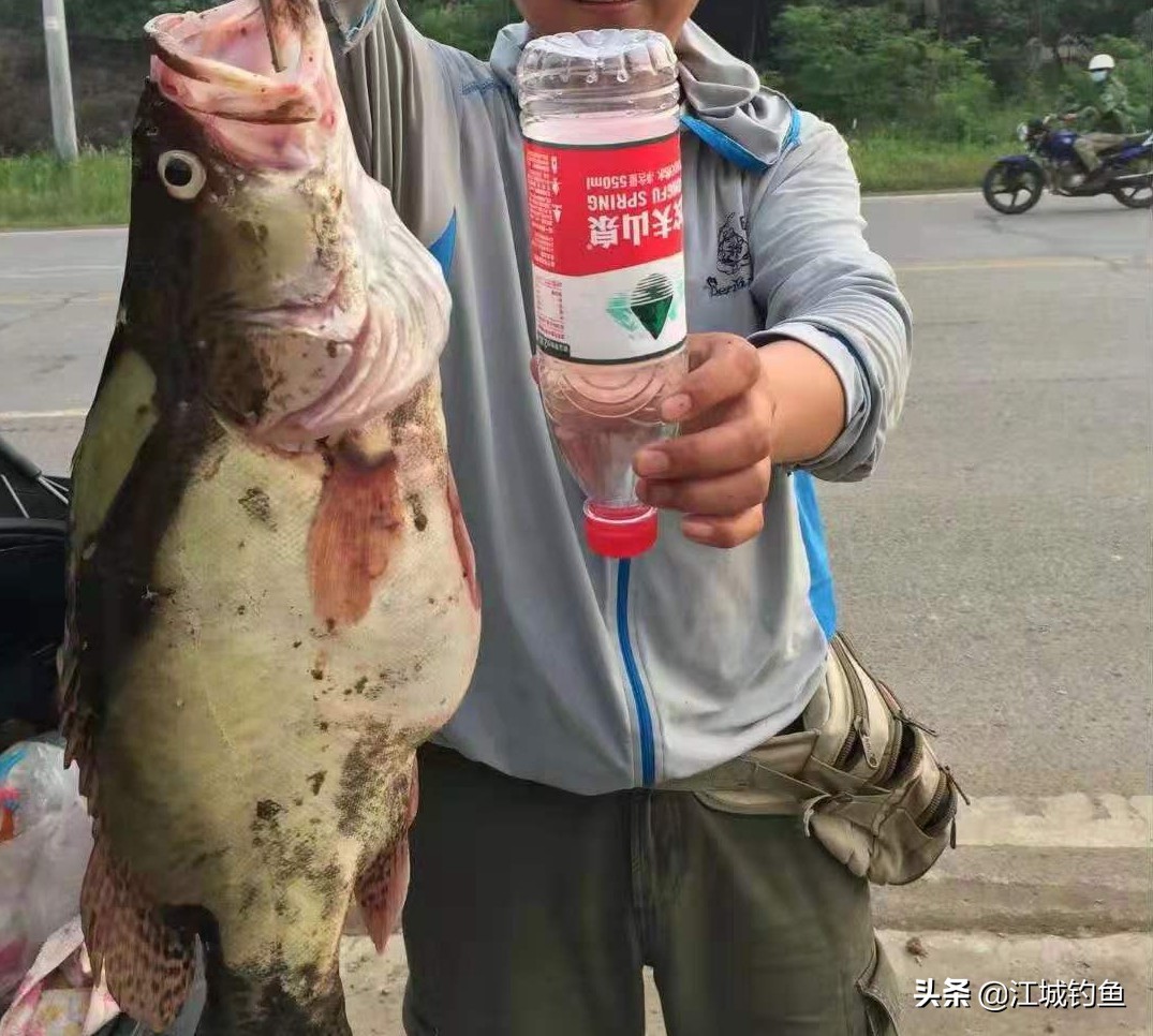 冬天钓不到翘嘴怎么办,冬天钓得到桂鱼不