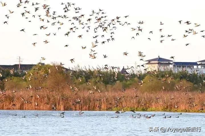 27个世界湿地日,世界湿地之都