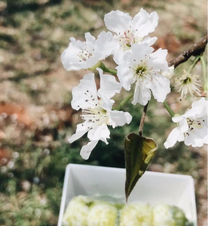 昆明亲子游自驾游攻略推荐路线,昆明周末亲子游十大好去处