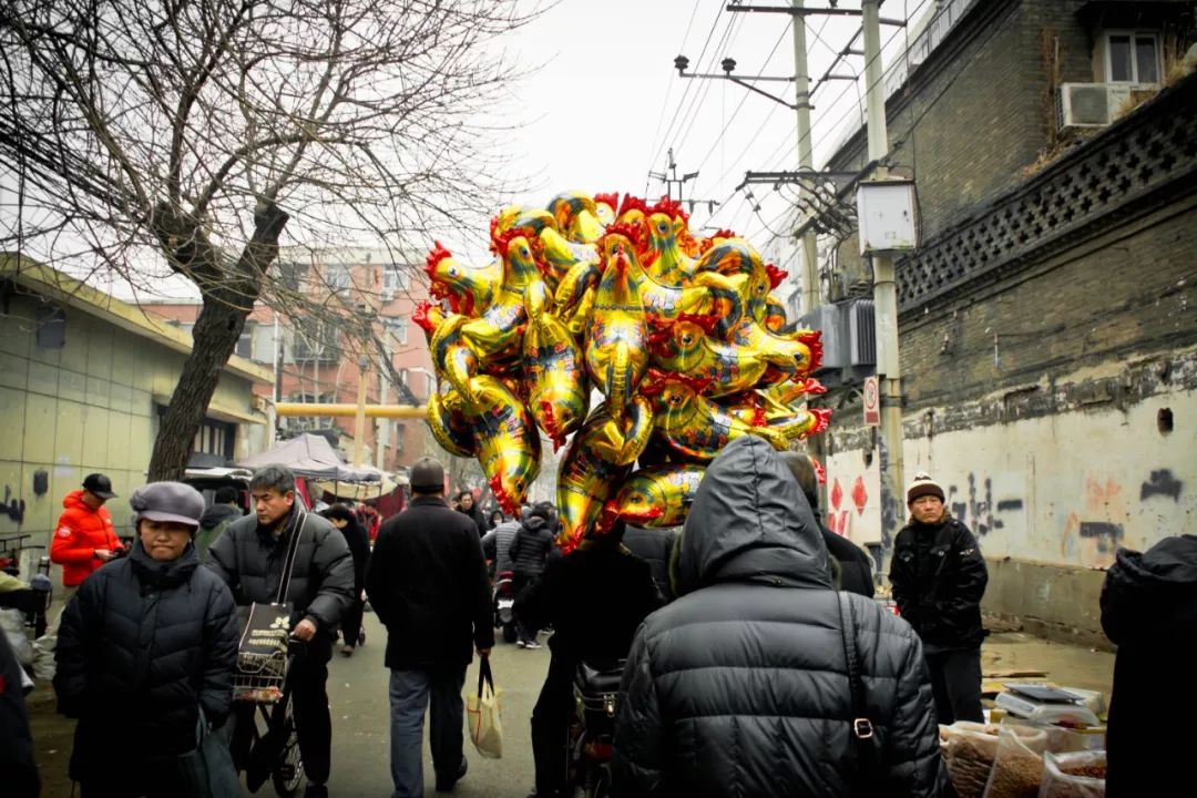 天津饺子捞面,天津饺子馅放啥