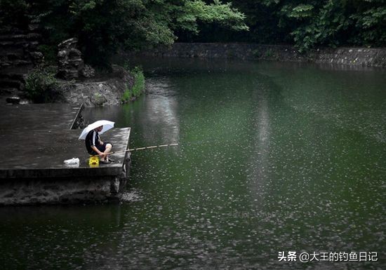 肥水塘用什么钓鲤鱼,肥水塘怎么钓鲫鱼最好