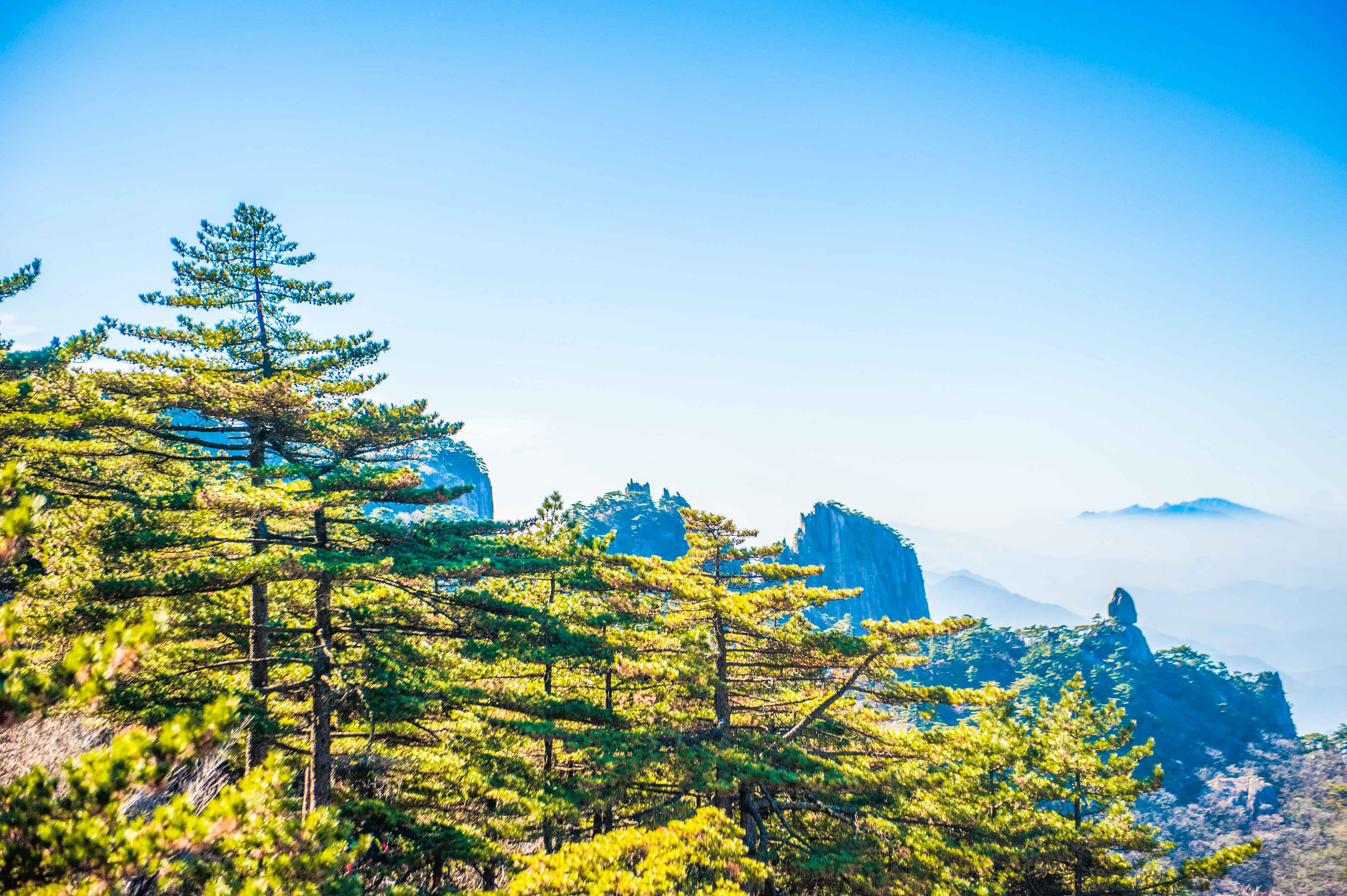 去黄山最美的季节,黄山最美丽的时刻