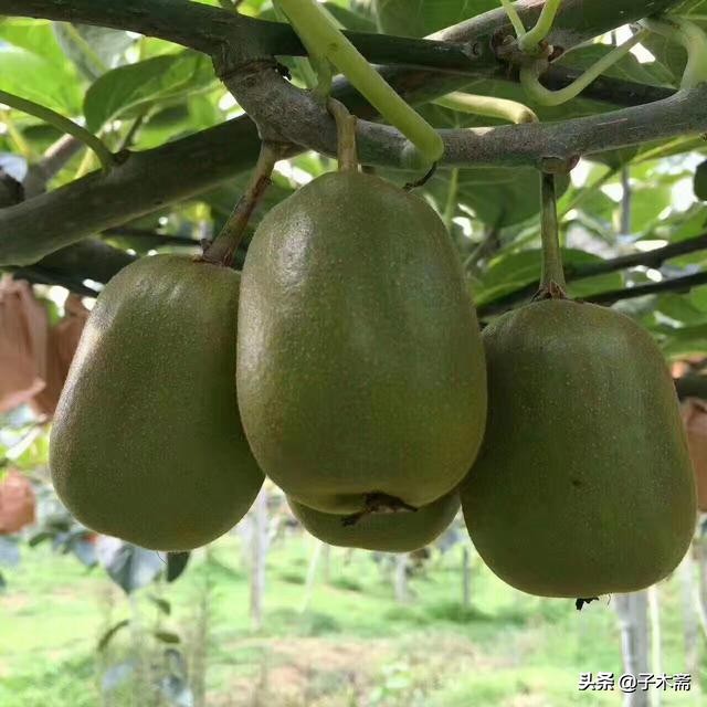 农产品买卖信息网,农产品交易信息