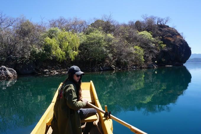 蛇岛为什么有千万条蛇,为什么蛇岛有这么多蛇其他岛没有