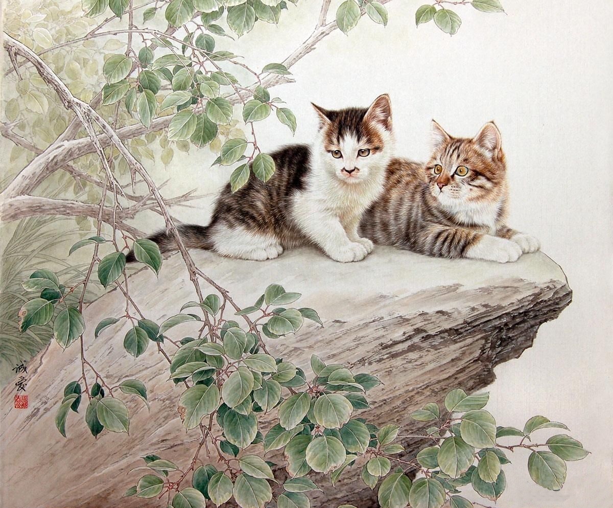 邢诚爱工笔画猫的图片,邢诚爱工笔画猫兔子高清大图