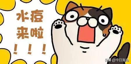 科普水痘来袭请做好战斗准备,水痘处于高发期请做好战痘准备