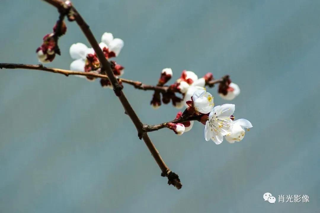 东丽区有发展吗,天津东丽区为什么没发展