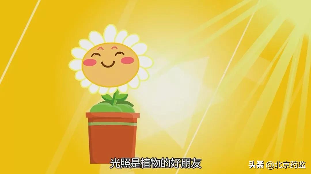 保存药品的四大误区,药品储存基本知识大全