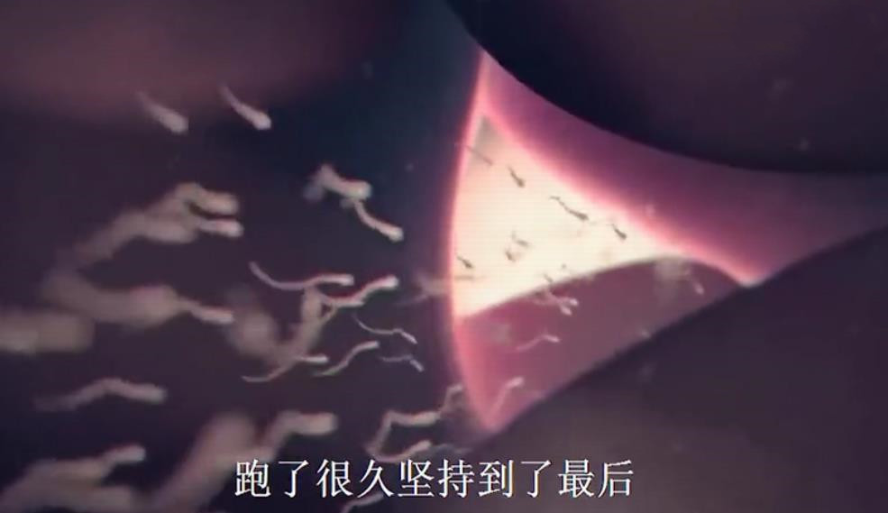 组图*放播**精子和卵子结合全过程，精子：找个媳妇，太难了