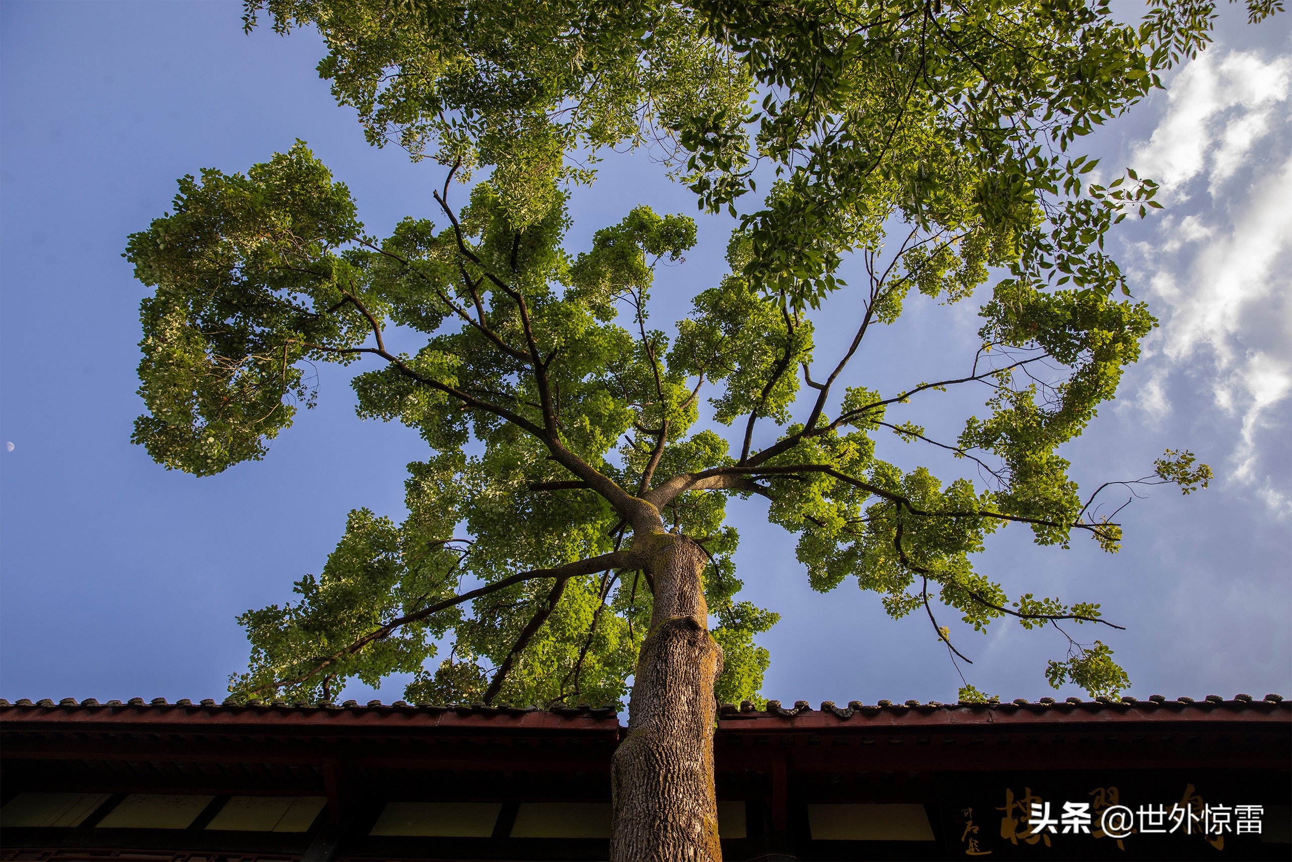 四川武侯祠自驾游攻略,四川旅行的攻略